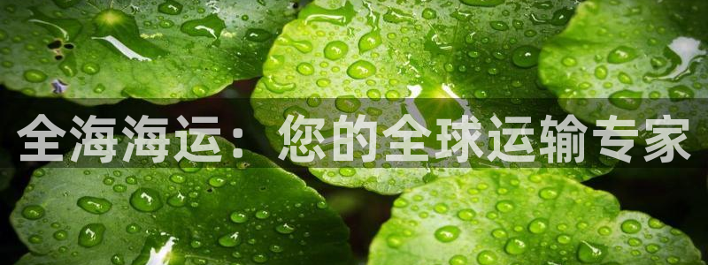 公海赌博为什么没人管