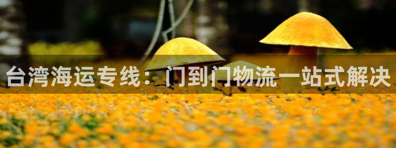 欢迎你来到公海欢迎你来到赌船701
