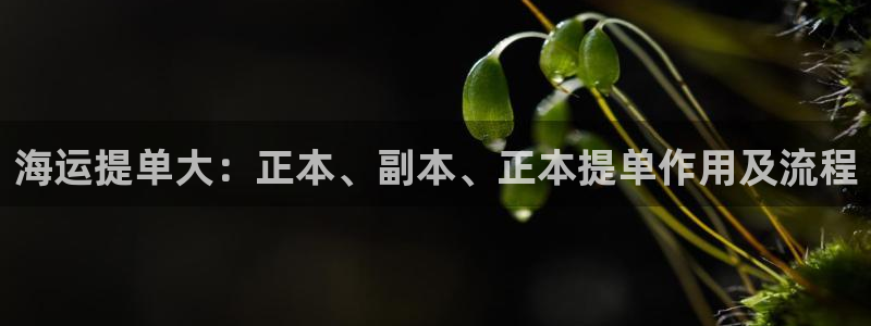 710公海赌赌船有总代理吗
