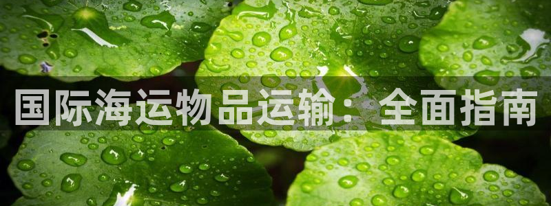 欢迎您来到公海欢迎您来到赌船