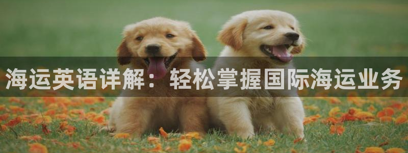 欢迎公海来到赌船710_首页(欢迎您)
