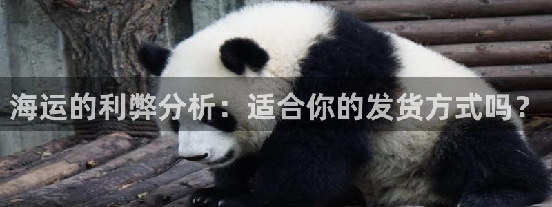 欢迎你来到公海欢迎你来到