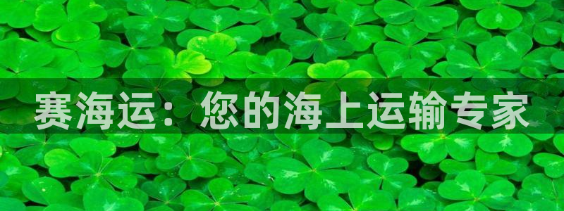 欢迎来公海欢迎来赌船!