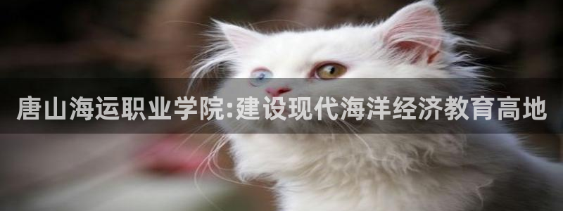 欢迎来到大海