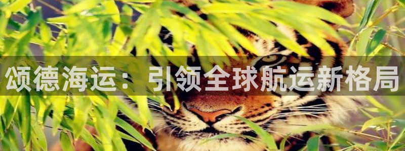 欢迎你来到公海欢迎你来到赌船701