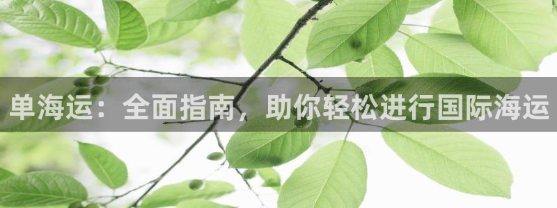 去公海赌博合法吗