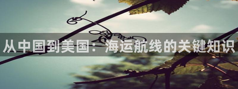 欢迎来到大海