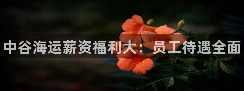 欢迎来到公海7109线路