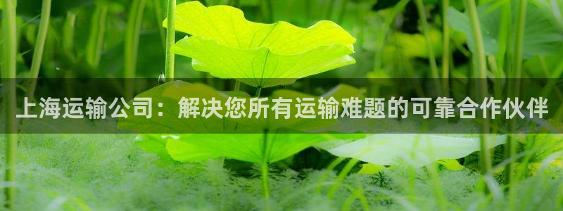欢迎来到公海电脑版