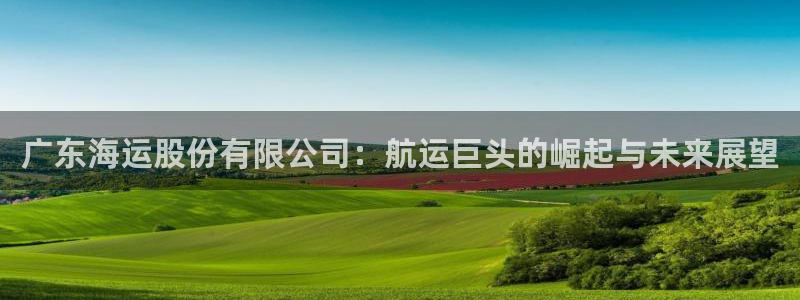公海赌赌船官网
