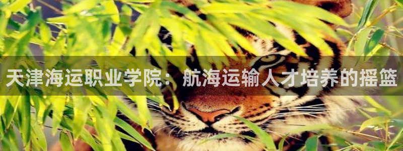 欢迎来到公海手机版710