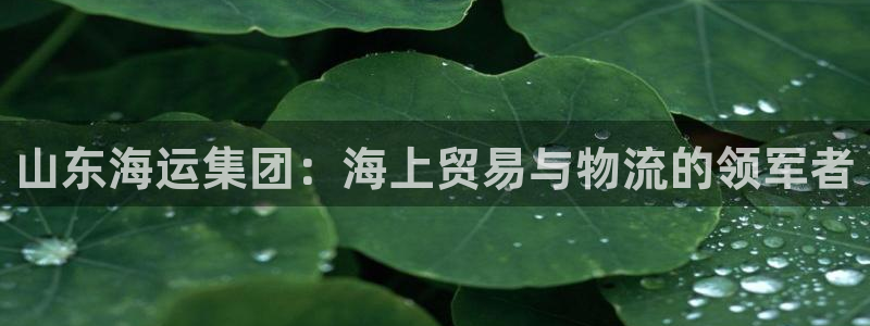 欢迎来到公海7109线路