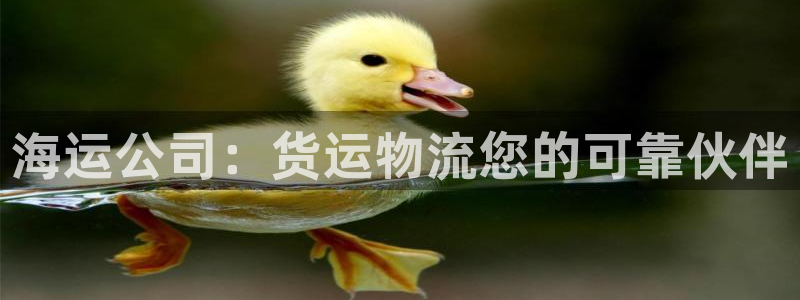 欢迎来到公海7108客服