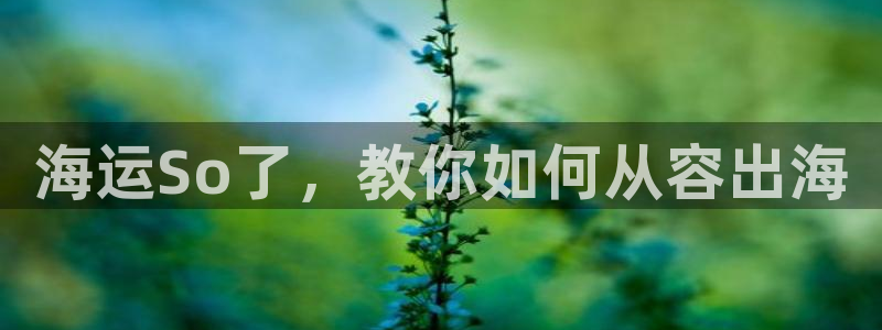 公海赌博为什么不犯法