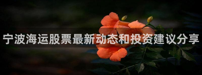 欢迎来到公海710线路是多少