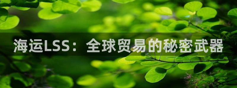 欢迎来到公海电脑版