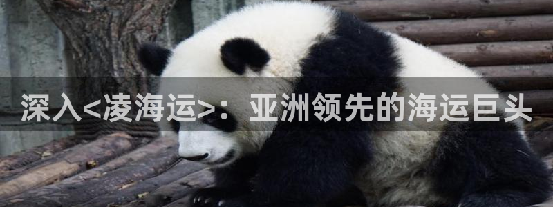 公海赌赌船官网jc710