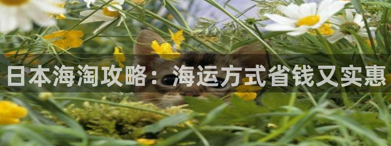 公海赌赌船官网介绍人