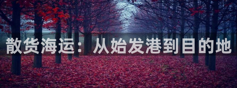 欢迎你来到公海 赌船