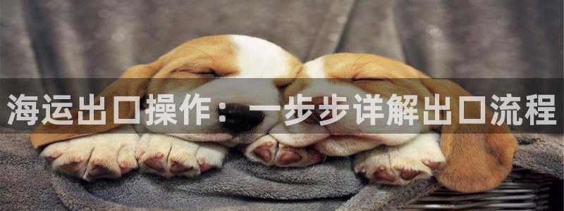 欢迎公海来到赌船710_首页(欢迎您)