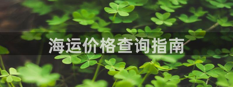 欢迎来到海牛星简谱