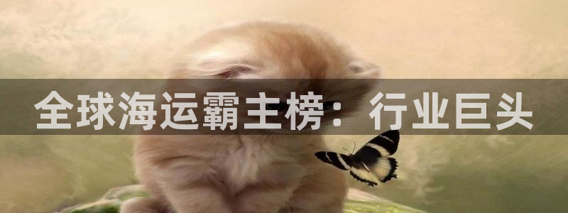 欢迎来到 公园