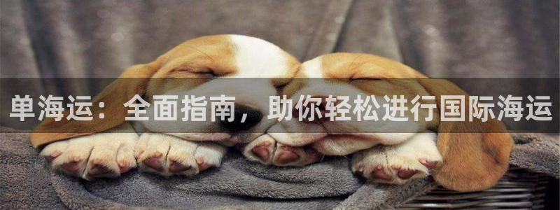 欢迎你来到公海欢迎你来到