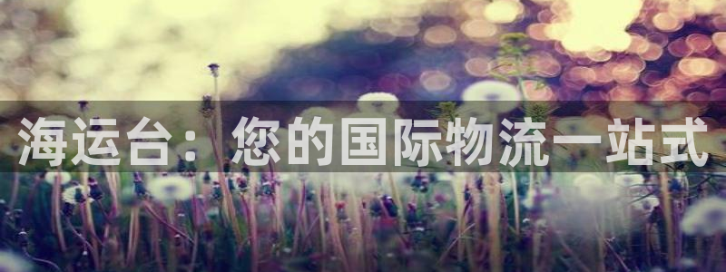 在公海赌博犯法吗