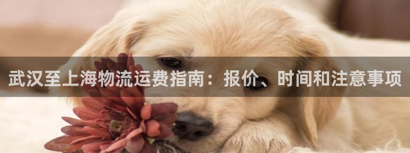 欢迎公海来到赌船710_首页(欢迎您)