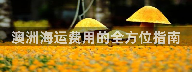 欢迎来到公海555000