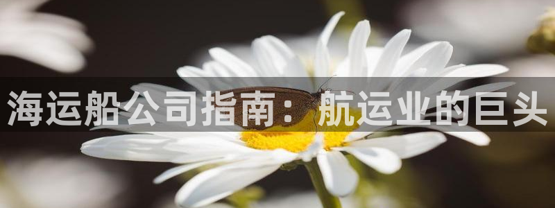 公海赌赌船官网