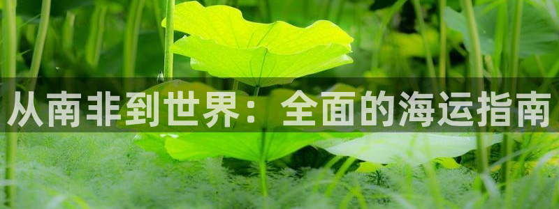 欢迎来到公海手机版710