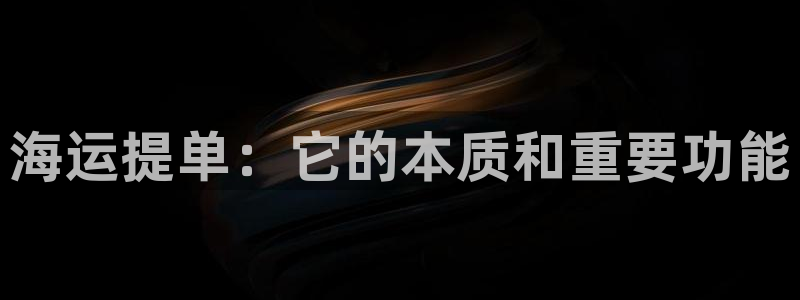 欢迎来到公海电脑版