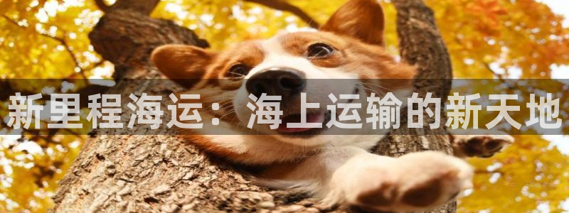 欢迎你来到公海欢迎你来到赌船701