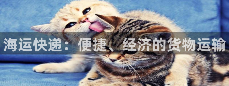 去公海赌博