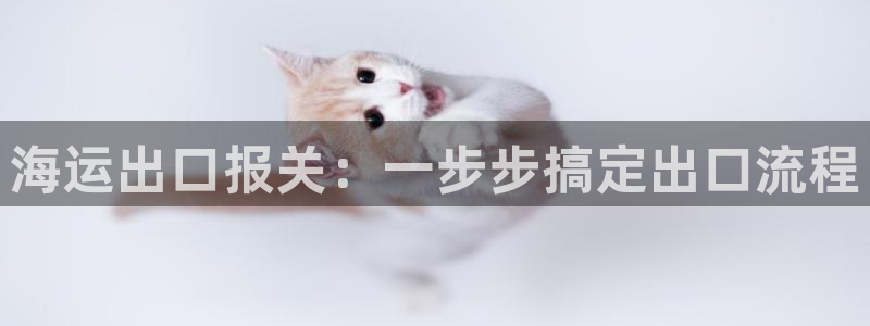 欢迎你来到公海 赌船