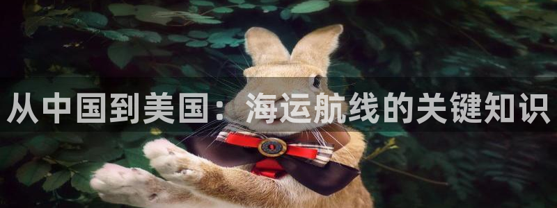 欢迎来到公赌船