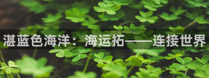 欢迎你来到公主的海岛