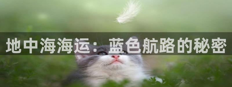 公海赌赌船710检测路线