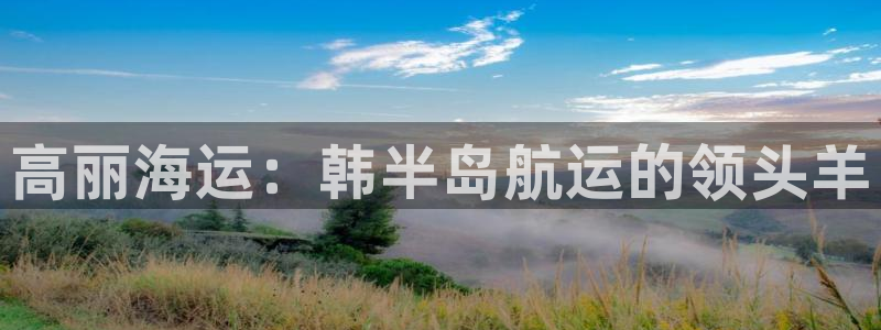 公海赌赌船官网