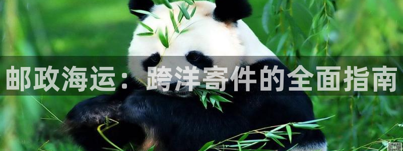 欢迎公海来到赌船710_首页(欢迎您)
