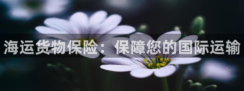 公海赌博为什么没人管