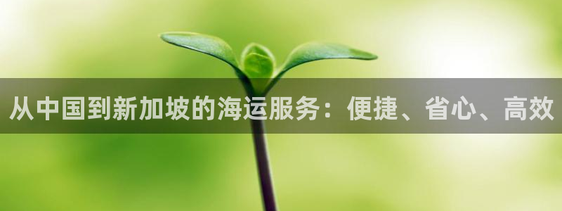 公海赌赌船官网