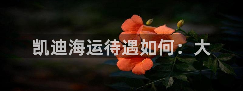 欢迎来到公海