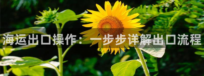 欢迎您来到公海欢迎您来到赌船