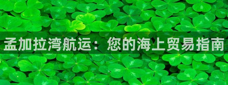 欢迎来到海边