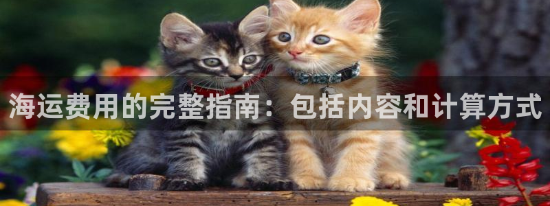 欢迎你来到公主的海岛